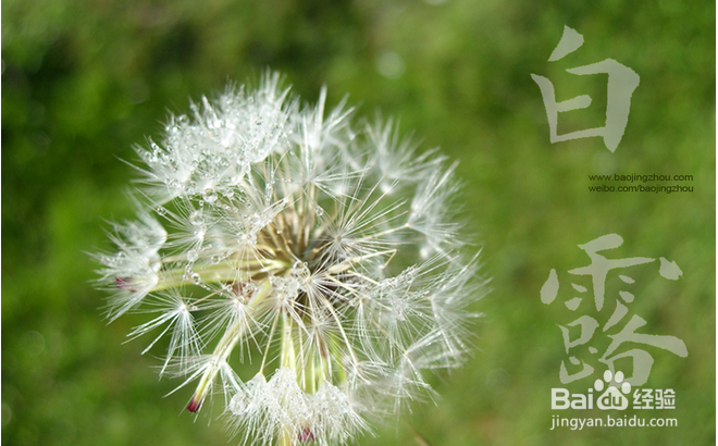 白露时节养生推荐