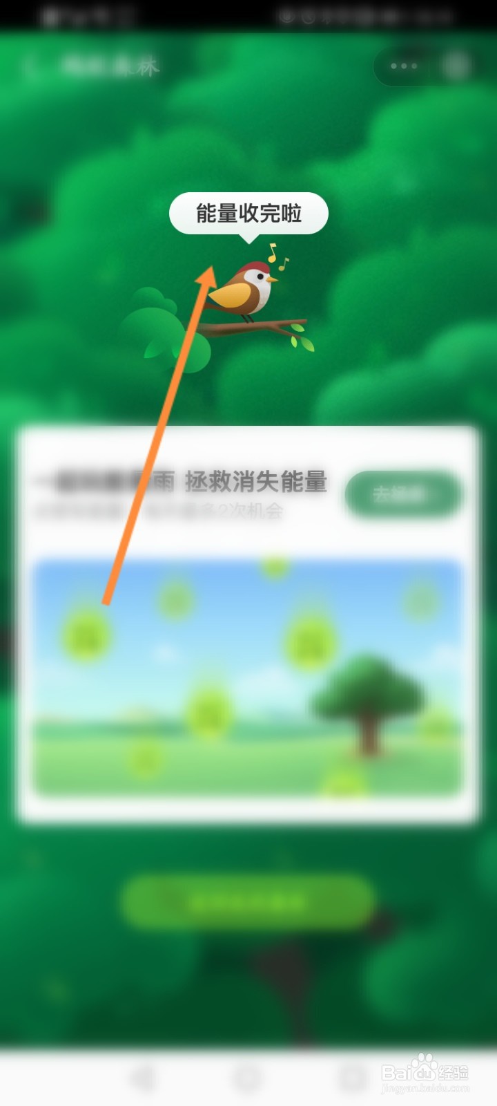蚂蚁能量怎么收集快