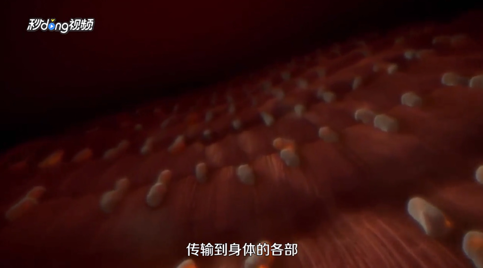 可乐杀精还是雪碧杀精呢？