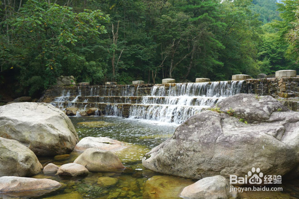 陕西云雾山景区游览攻略