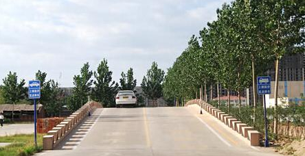 驾考科目二,如何快速掌握?