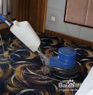 怎么防止和清理地板螨虫