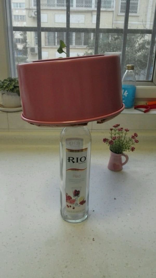 蜂蜜酸奶戚风蛋糕