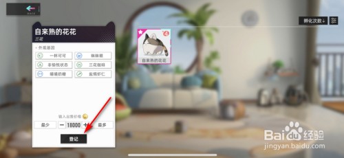 猫之城怎么把猫登记到集会