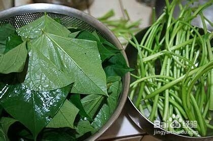 红薯叶 居然有这么强大