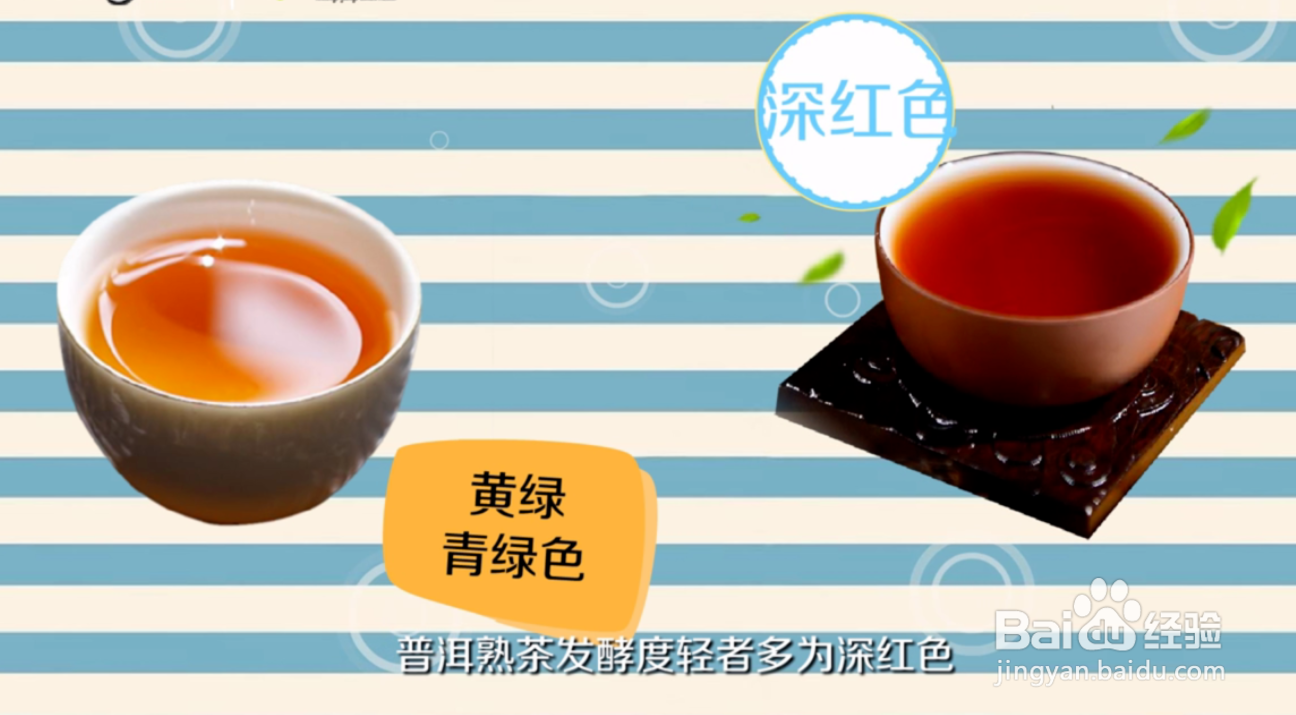 生普洱和熟普洱有什么区别