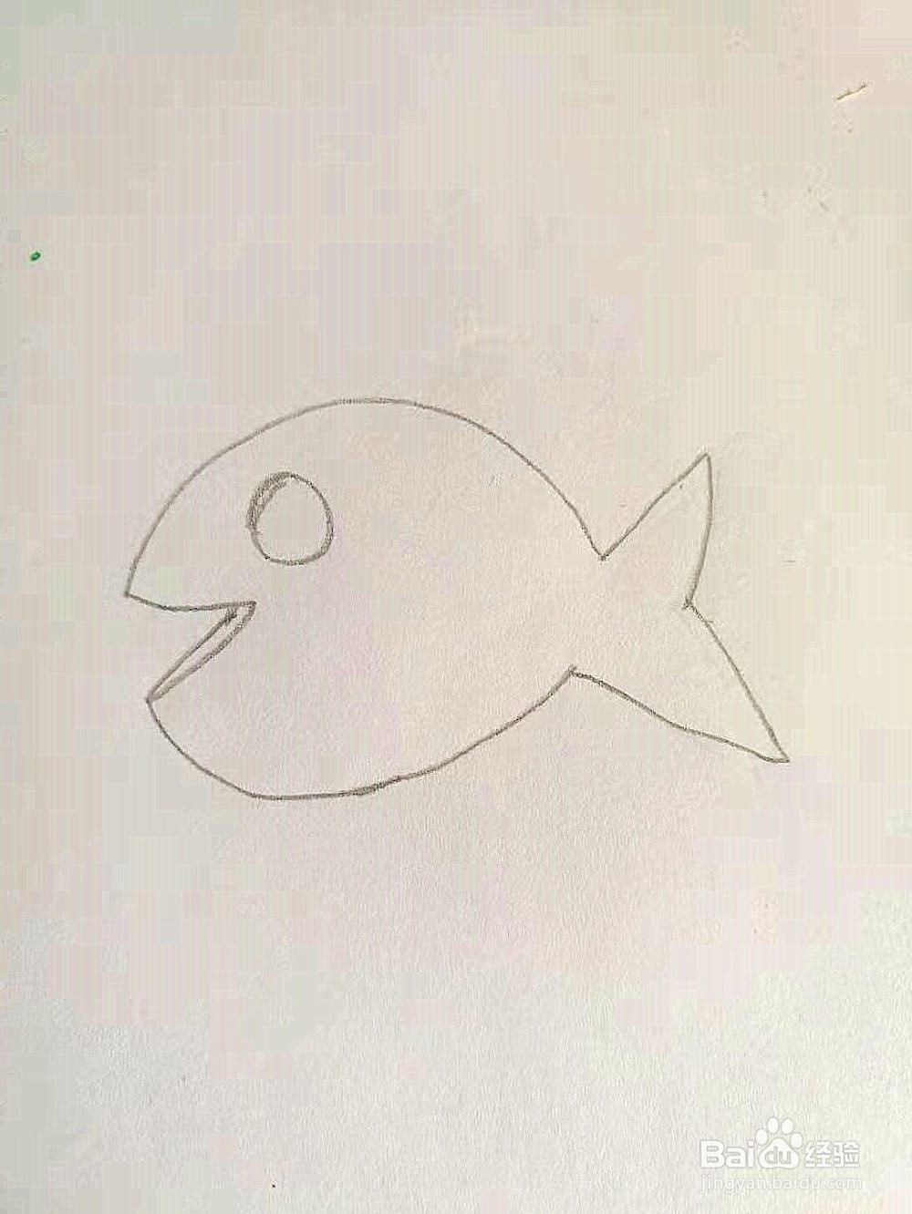 幼儿园简笔画教程：小鱼