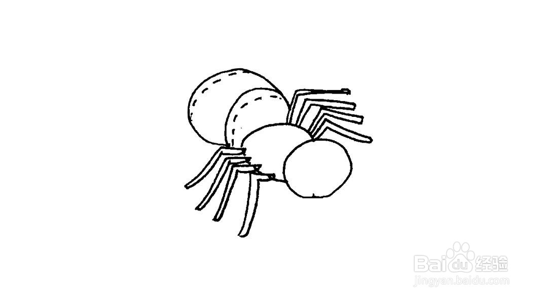 蜘蛛简笔画画法教程