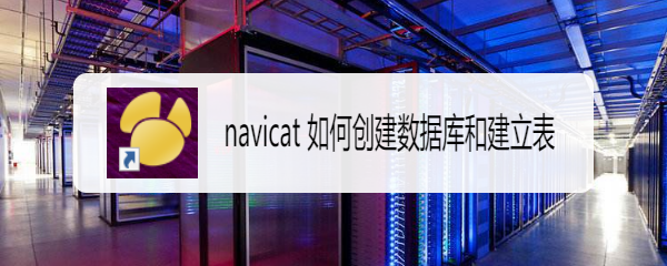 <b>navicat 如何创建数据库和建立表</b>