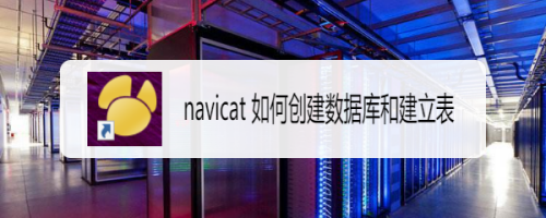 navicat 如何创建数据库和建立表