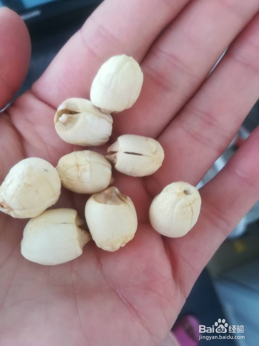 消暑银耳莲子汤