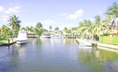 微观经济学学什么 怎么学