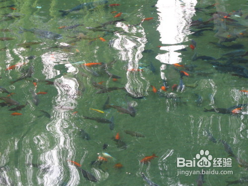 济南泉城广场与趵突泉旅游攻略