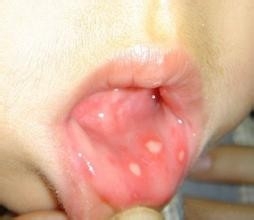 玩转生活常识