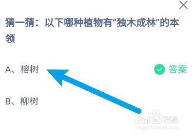 蚂蚁庄园：以下哪种植物有“独木成林”的本领