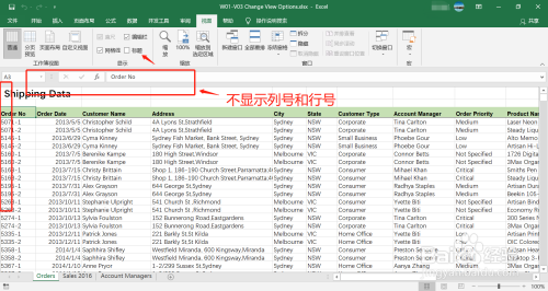 如何使用Excel的视图选项