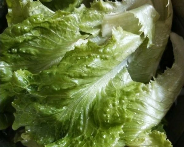 芒果虾仁坚果沙拉