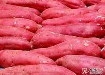红薯和什么不能一起吃