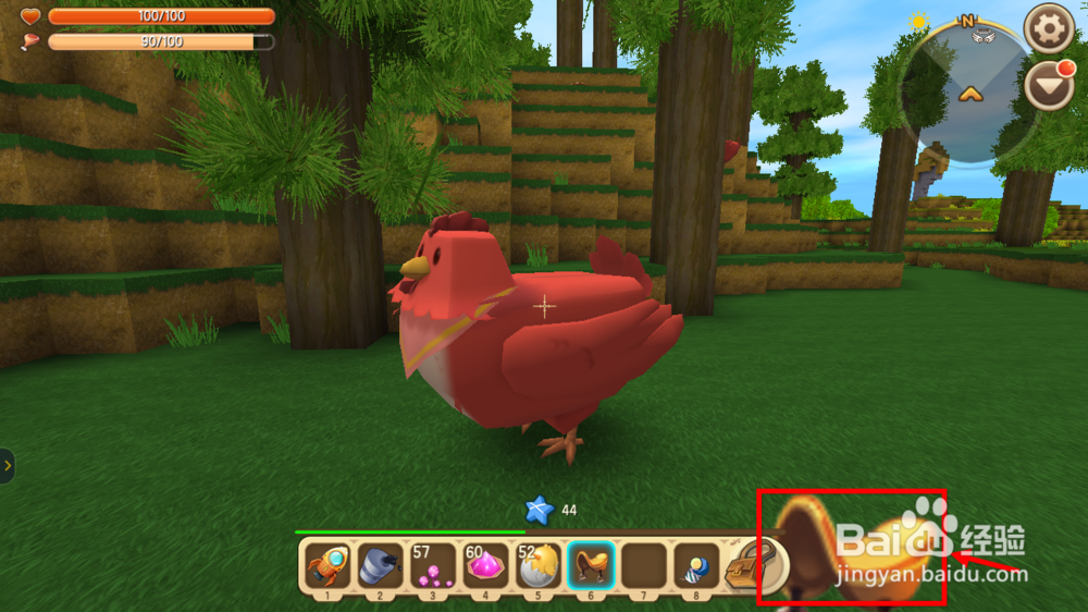 迷你世界飞鸡怎么驯服 迷你世界飞鸡吃什么
