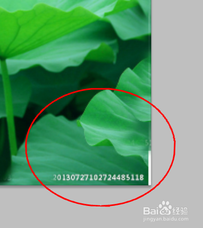 Ps如何轻松去水印