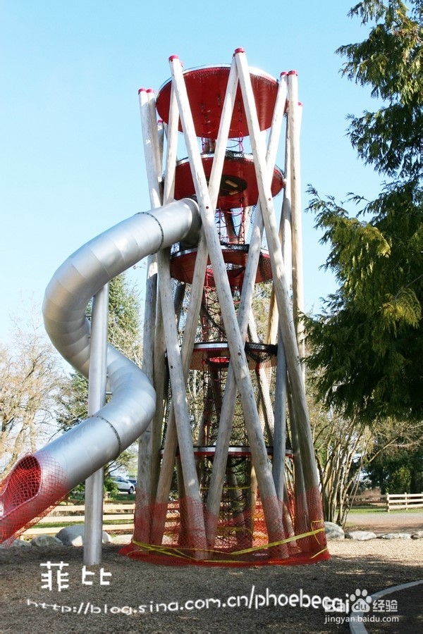 温哥华百万木头公园