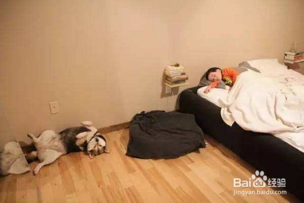 有哪些好的方法可以助眠