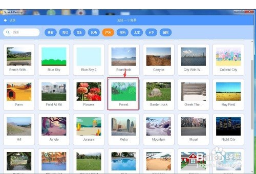 在Scratch3.0中创建森林中的蜻蜓动画