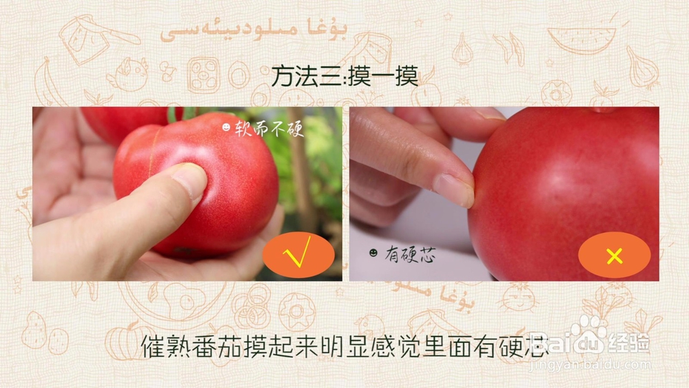 怎样辨别激素西红柿