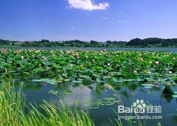 保定市旅游攻略