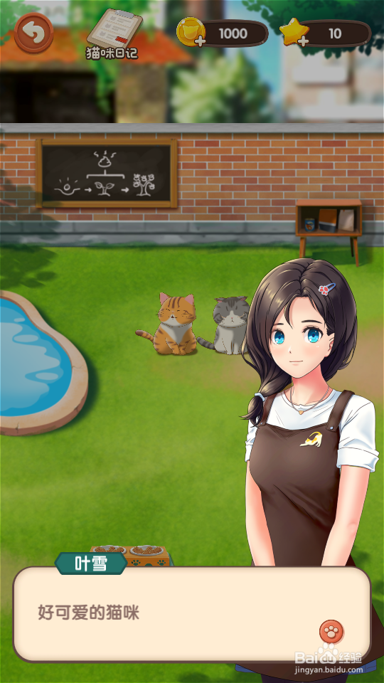 猫语咖啡攻略通关