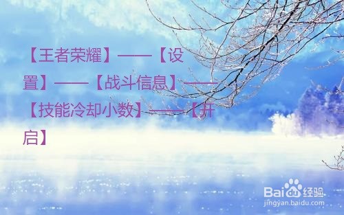 王者荣耀中怎么开启技能冷却小数？