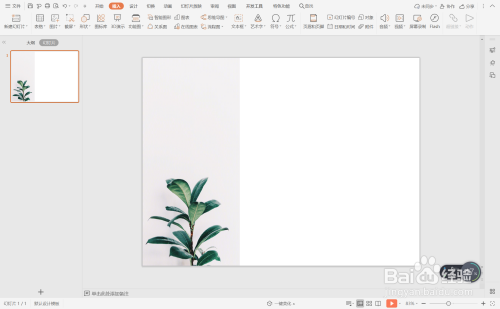 wpsppt中如何进行竖版三分式图文排版