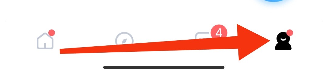 在欢游软件如何进行查看语音球设置的