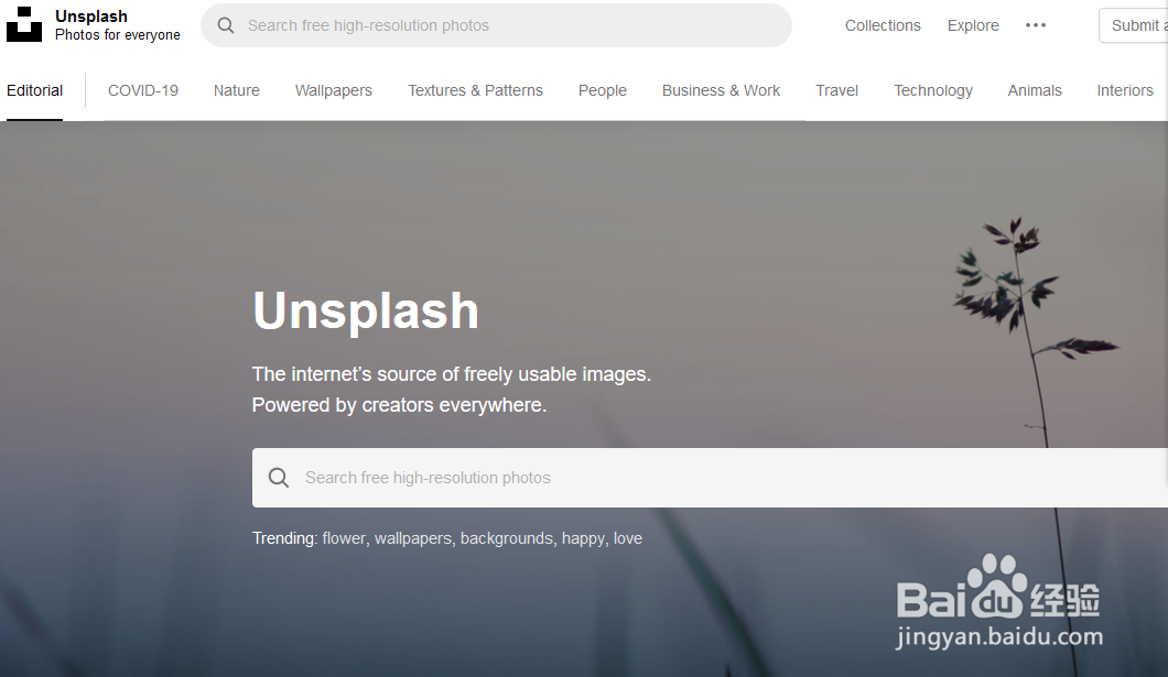 如何找到国内外免费的图片网站？