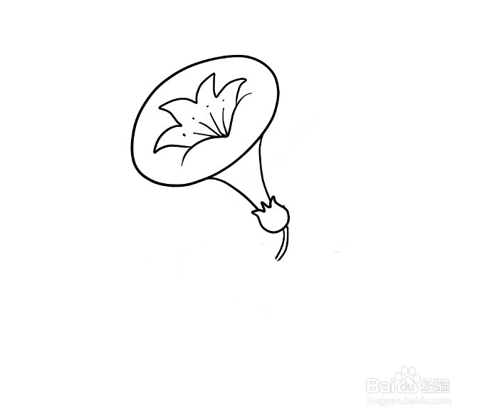 牵牛花简笔画 分步画法