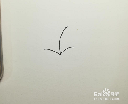 简笔画的蒲公英怎么画