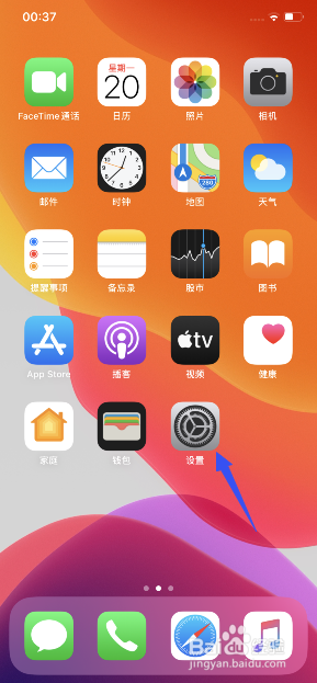 iphone11怎么将放大器添加到控制中心