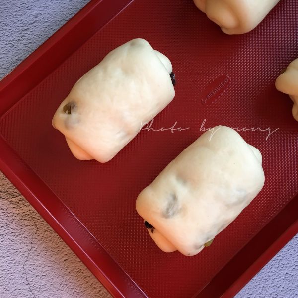 葡萄干浓香牛奶哈斯