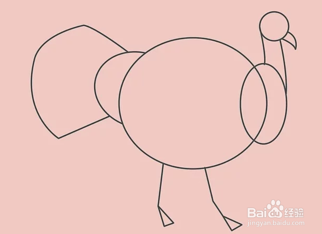 如何画一只火鸡