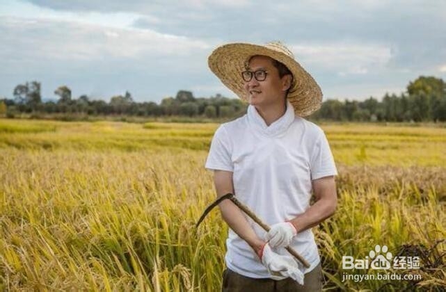 周杰捐献2万斤大米!他如何从娱乐圈走出来的