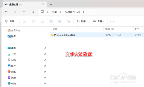 win11怎么显示隐藏文件
