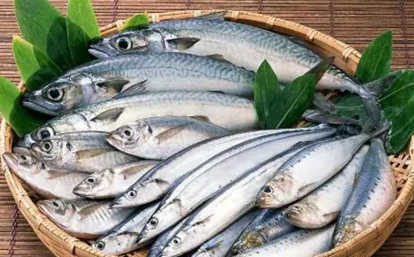 什么鱼只有一根主刺