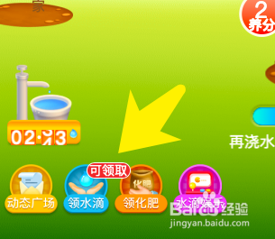 怎样养好幸福树