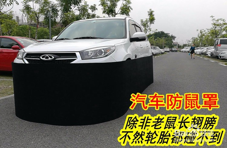 汽车防鼠罩,正确用法与围绕汽车防猫防狗方法