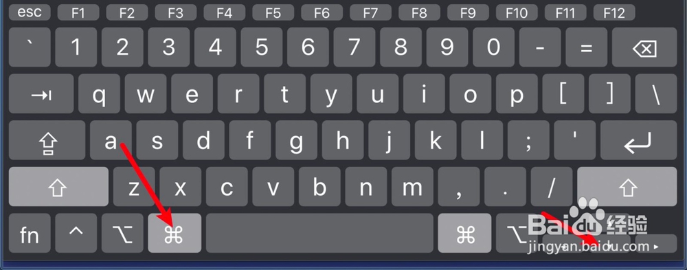 mac系统中word中怎样快速转到文档末尾