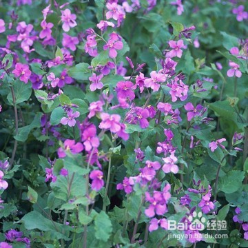 怎么写一本小说