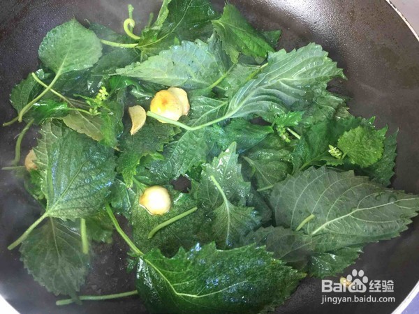 紫苏叶怎么炒吃最好吃