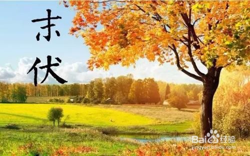 末伏将至要注意预防哪些病