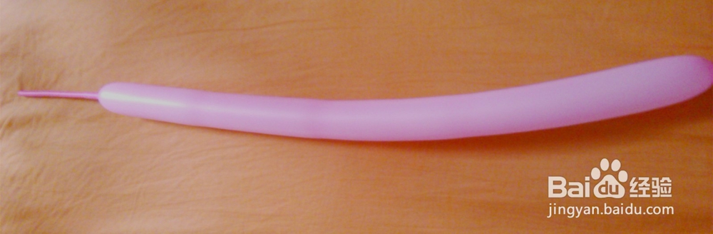 魔术气球——小狗的制作方法