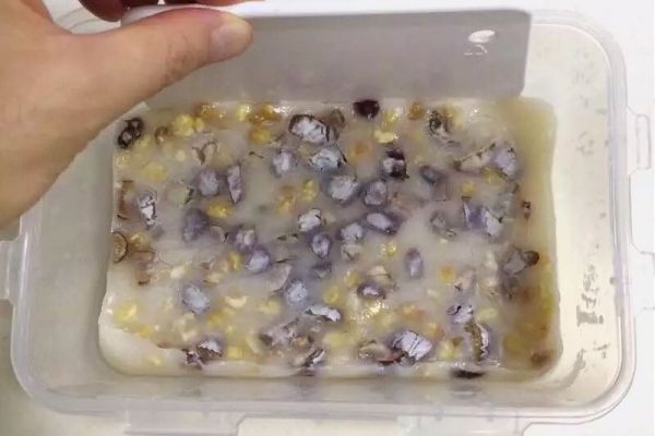 红枣核桃糯米糕